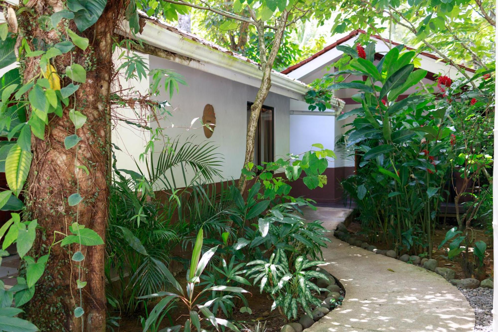 Hotel Bambutel Cocles à Puerto Viejo de Talamanca Extérieur photo