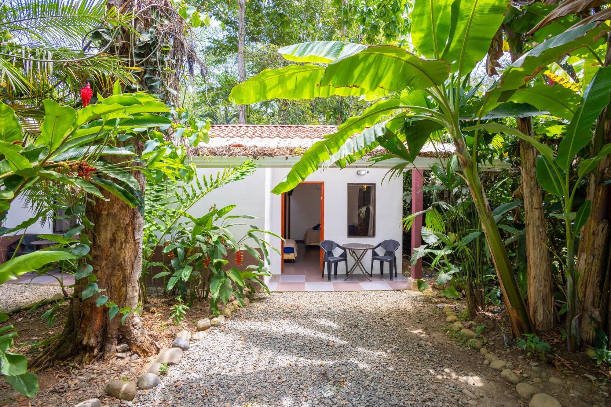 Hotel Bambutel Cocles à Puerto Viejo de Talamanca Extérieur photo
