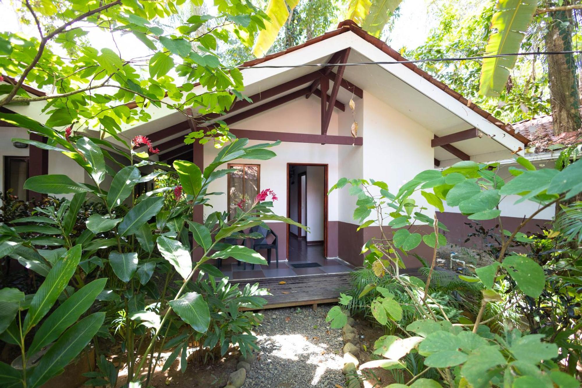 Hotel Bambutel Cocles à Puerto Viejo de Talamanca Extérieur photo